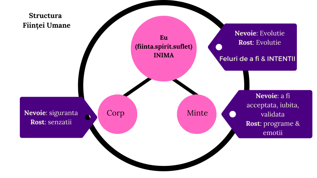 corp minte spirit